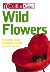 Wildflowers [Click for larger image]