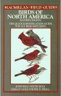 Birds of North America/Eastern Region : A Quick Identification Guide to Common Birds [Click for larger image]