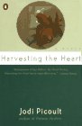 Harvesting the Heart [Click for larger image]