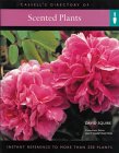 Cassell's Directory of Scented Plants : Everything You Need to Create a Garden [Click for larger image]