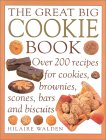 The Great Big Cookie Book : Over 200 Recipes for Cookies, Brownies, Scones, Bars and Biscuits [Click for larger image]