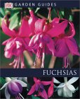 Fuchsias [Click for larger image]