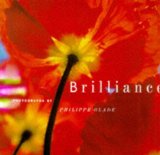 Brilliance [Click for larger image]