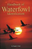 Handbook of Waterfowl Identification [Click for larger image]