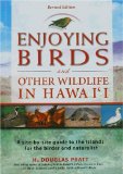 Enjoying Birds in Hawaii [Click for larger image]
