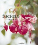 Fuchsia : A Care Manual [Click for larger image]