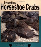 Extraordinary Horseshoe Crabs [Click for larger image]