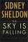 The Sky Is Falling cover