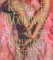 The Reluctant Suitor cover