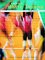 Principles of Athletic Training With Powerweb cover