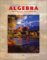 Beginning and Intermediate Algebra : The Language and Symbolism of Mathematics cover