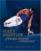 Hole's Essentials Of Human Anatomy And Physiology cover
