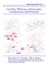Ad Hoc Wireless Networks : Architectures and Protocols cover