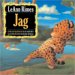Jag cover