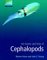 The Brains and Lives of Cephalopods cover