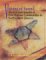 Visions of Sound : Musical Instruments of First Nations Communities in Northeastern America cover