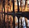 Texas Rivers cover