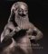 The Centaur's Smile : The Human Animal in Early Greek Art cover