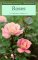 Roses cover