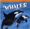 Whales cover