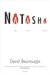 Natasha : And Other Stories cover