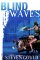 Blind Waves cover
