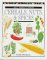 Cereals, Nuts, & Spices cover