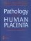 Pathology of the Human Placenta cover