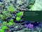 Interior Landscapes : Horticulture and Design cover