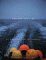 Against the Tide : The Fate of the New England Fisherman cover