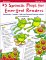 25 Spanish Plays for Emergent Readers cover