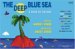 The Deep Blue Sea : A Book of Colors cover
