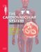 The Cardiovascular Sysytem : Systems of the Body cover