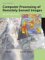 Computer Processing of Remotely-Sensed Images : An Introduction cover