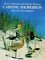 Carving Shorebirds With Full-Size Patterns cover