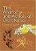 The Anatomy and Action of the Horse cover