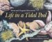 Life in a Tidal Pool cover