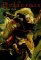 Delacroix : The Late Work cover