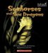 Seahorses And Sea Dragons cover