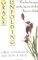 Grace Unfolding : Psychotherapy in the Spirit of the Tao-Te Ching cover