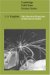 The Electrical Properties of Disordered Metals cover