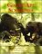 Great Ape Societies cover