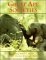 Great Ape Societies cover