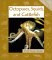 Octopuses, Squids, and Cuttlefish cover