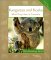 Kangaroos and Koalas : What They Have in Common cover