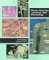 Photo Atlas for Anatomy and Physiology cover