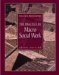The Practice Of Macro Social Work cover