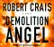 Demolition Angel cover