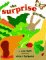 The Surprise Garden cover