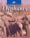 Elephants cover